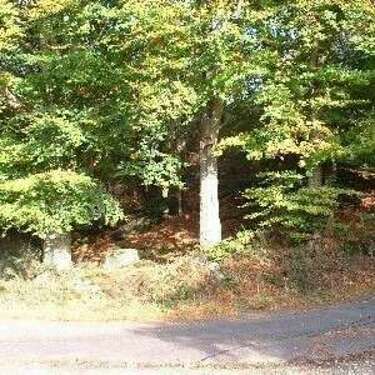Album Le plan deau : moulinarbres.jpg
